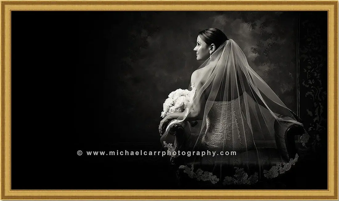 Formal Bridal Portraits Photography